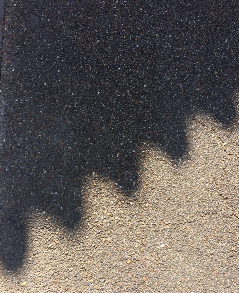 日なたと日かげの境に伸びる、ふたつの影
