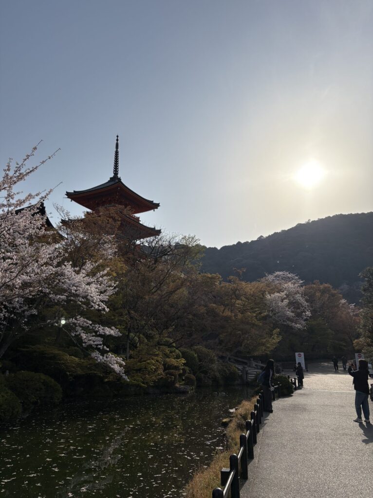 清水寺の三重塔と朝日