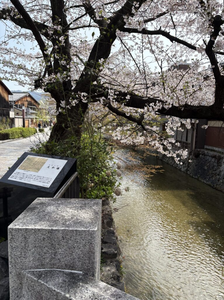京都　祇園　大和橋