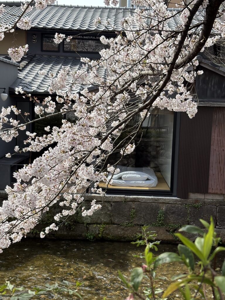 京都 白川筋通り