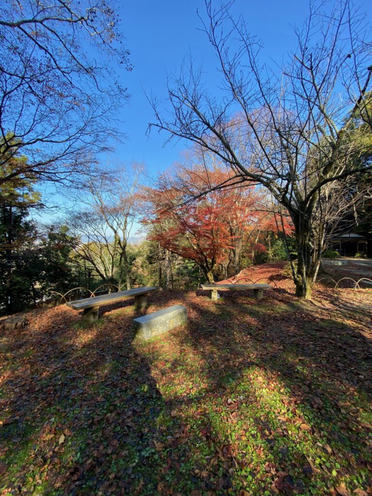 京都トレイルコース