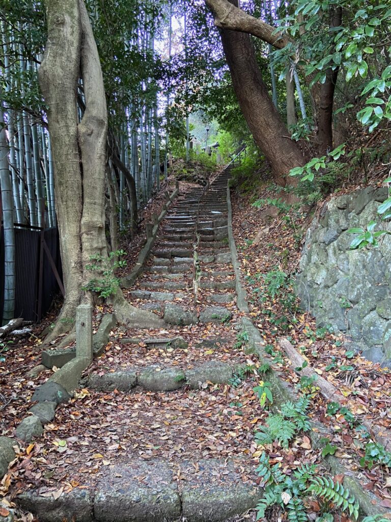 京都トレイルコース