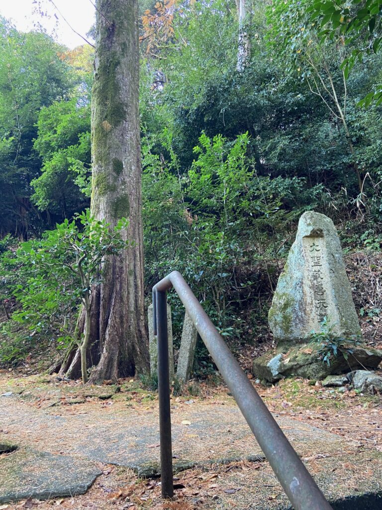 京都トレイルコース