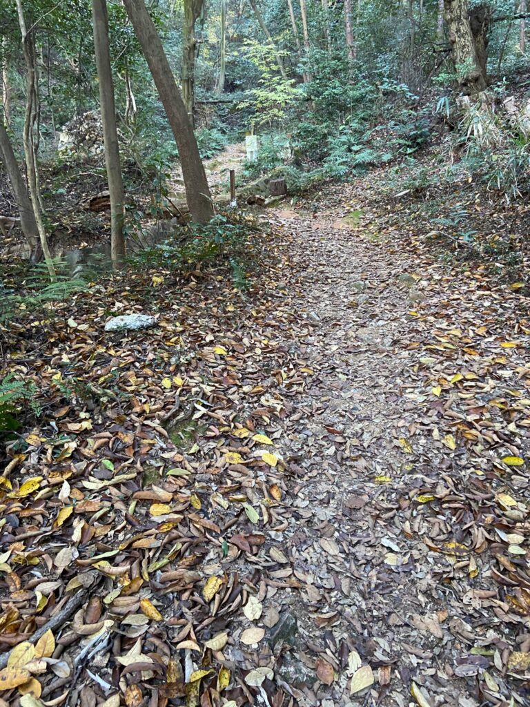 京都トレイルコース