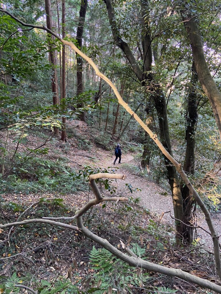 京都トレイルコース