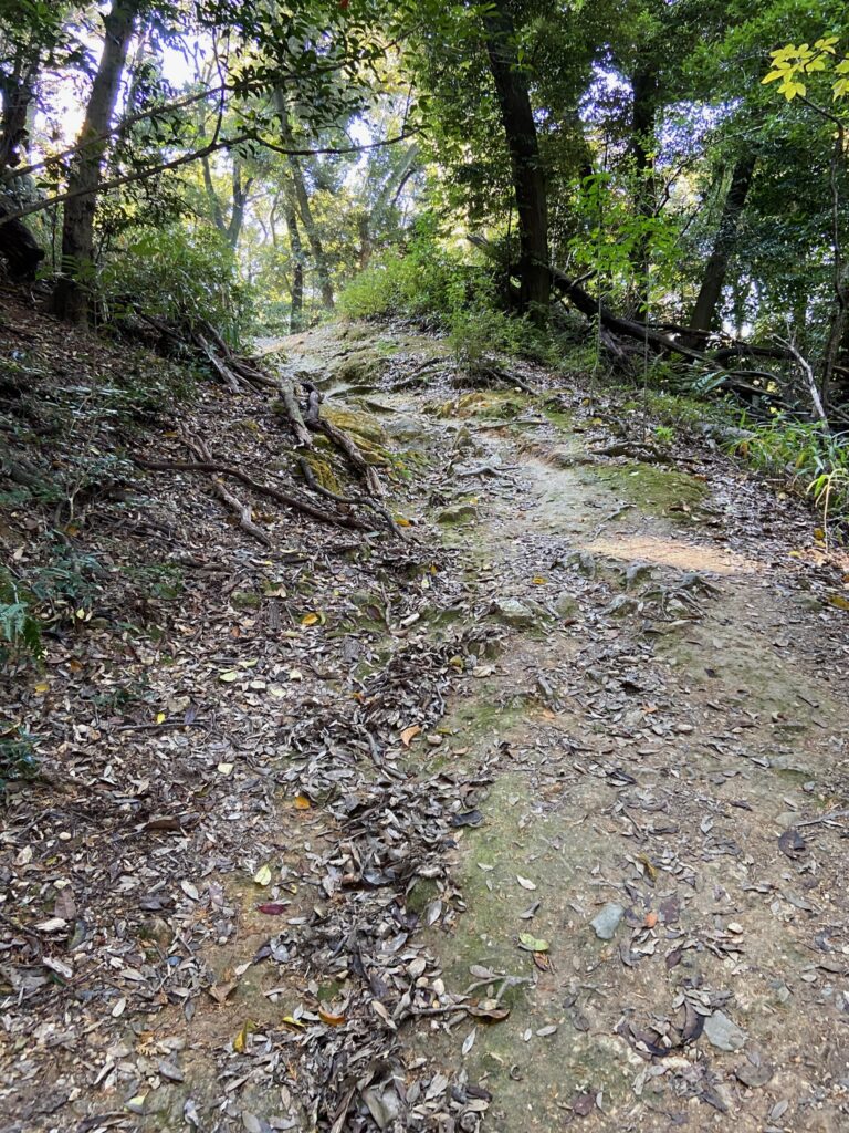 京都トレイルコース