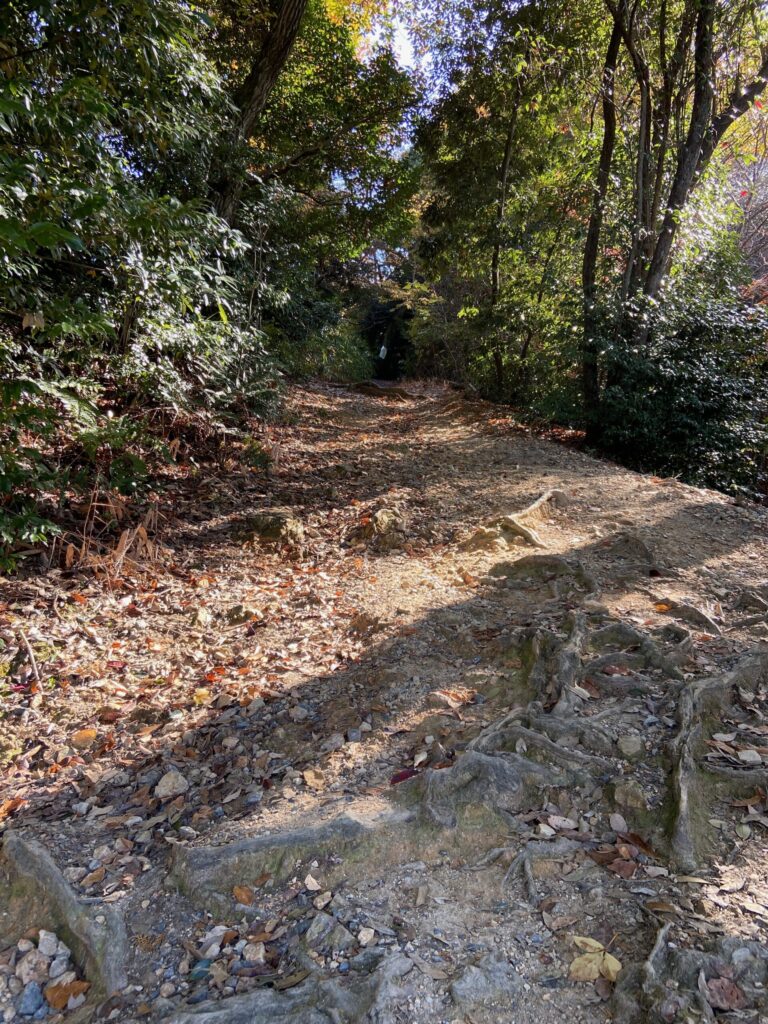 京都トレイルコース