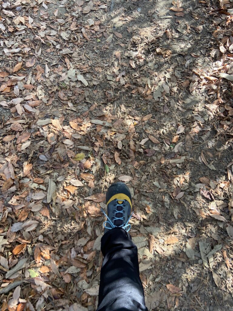 大文字山トレッキングに履いていったトレッキングシューズ