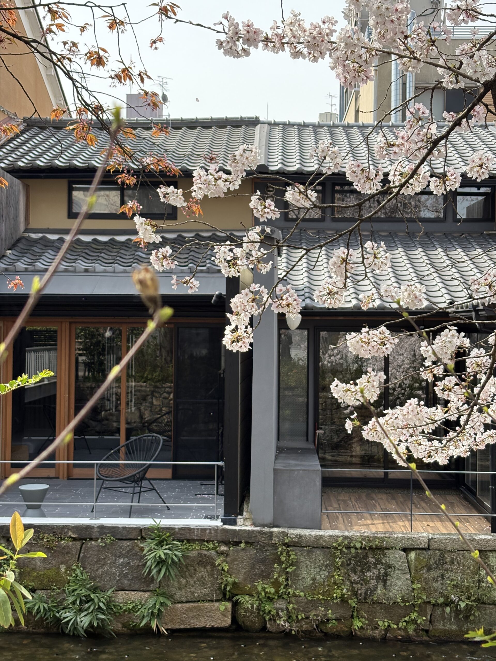 桜の花びらと京町家の小川｜鴨川理容院 第1話