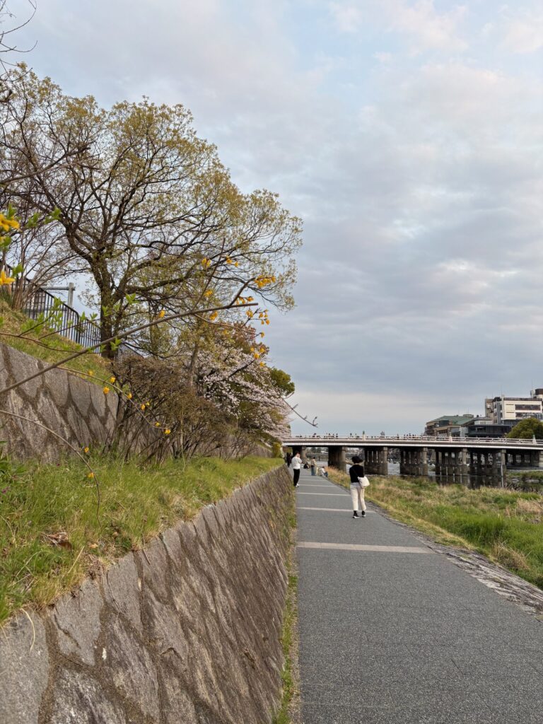 京都三条　鴨川散歩道