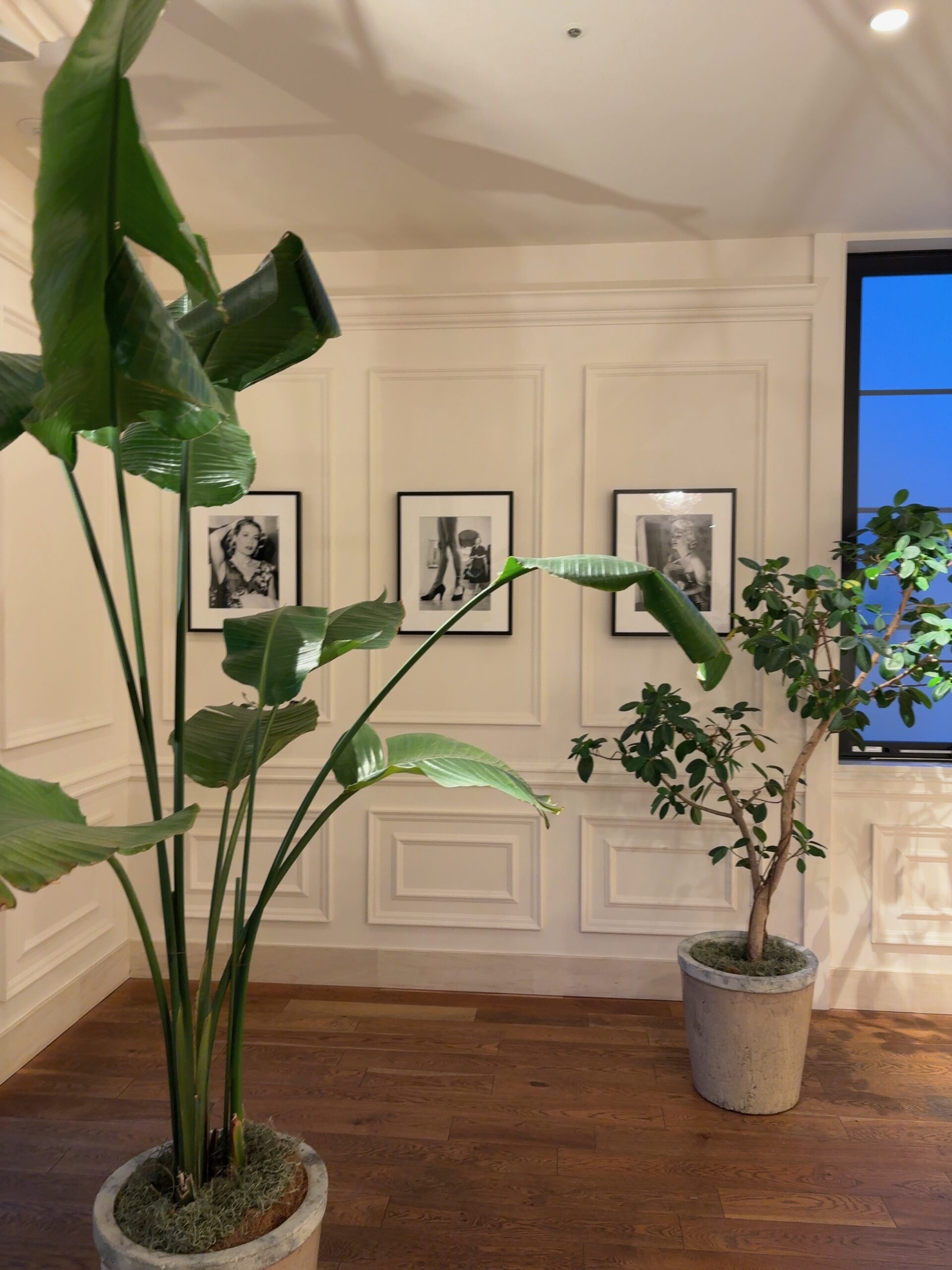 京都BAL ロンハーマン レストルーム　