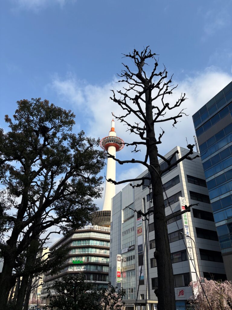 京都駅地下 小川珈琲 店内 朝の風景