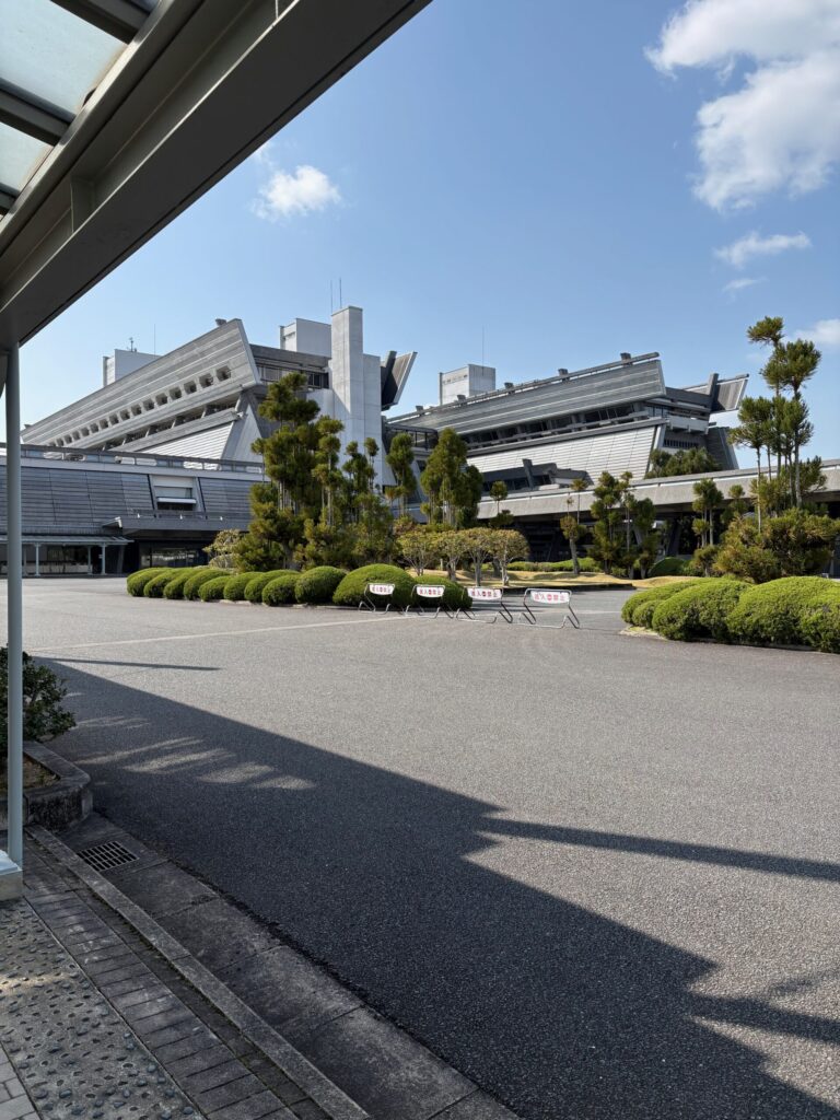 同志社 桜並木 左京区 春