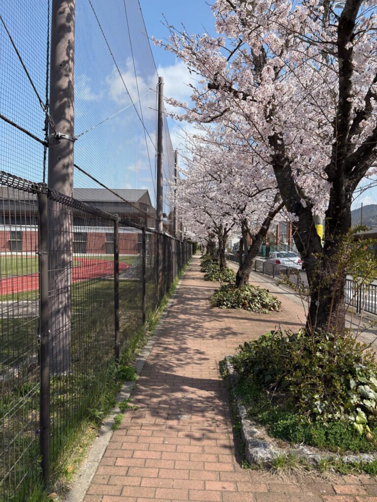 蓮華寺 山門 参道 京都 洛北