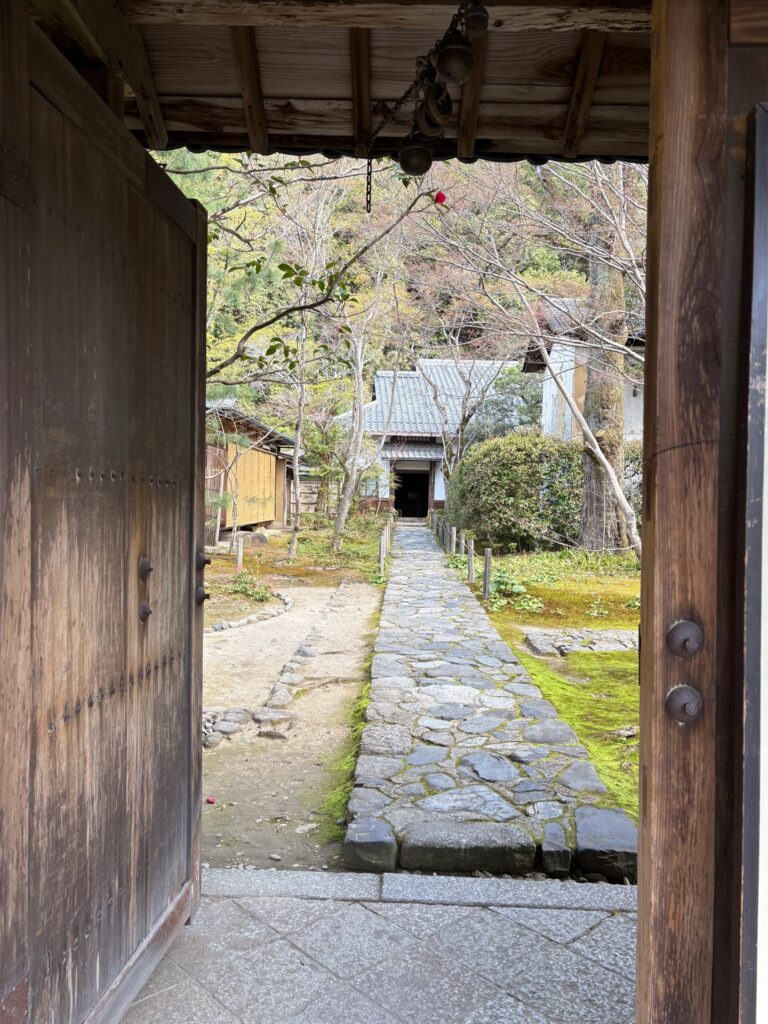 蓮華寺 露地庭 苔 石畳 春