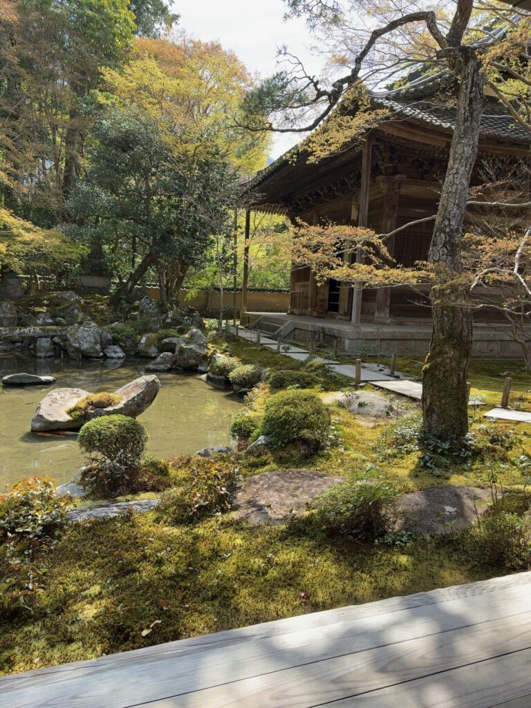 蓮華寺 青もみじ 本堂 木立