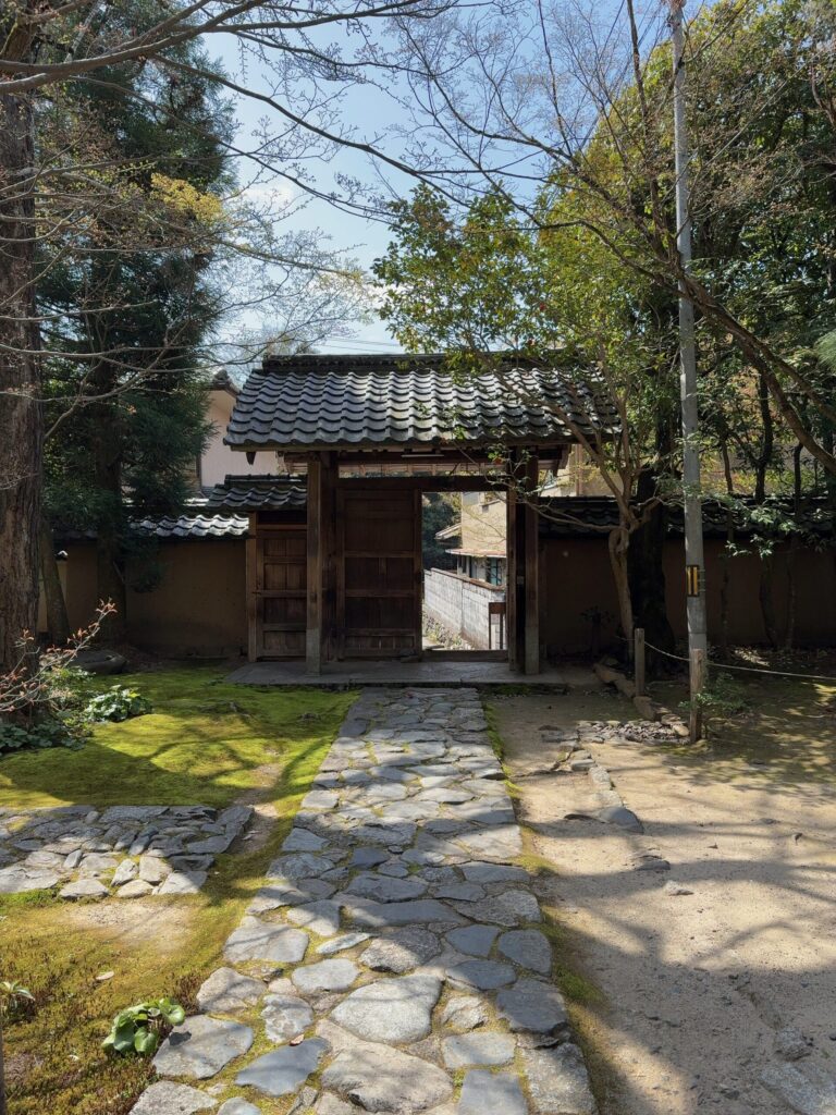 蓮華寺 春 桜 境内