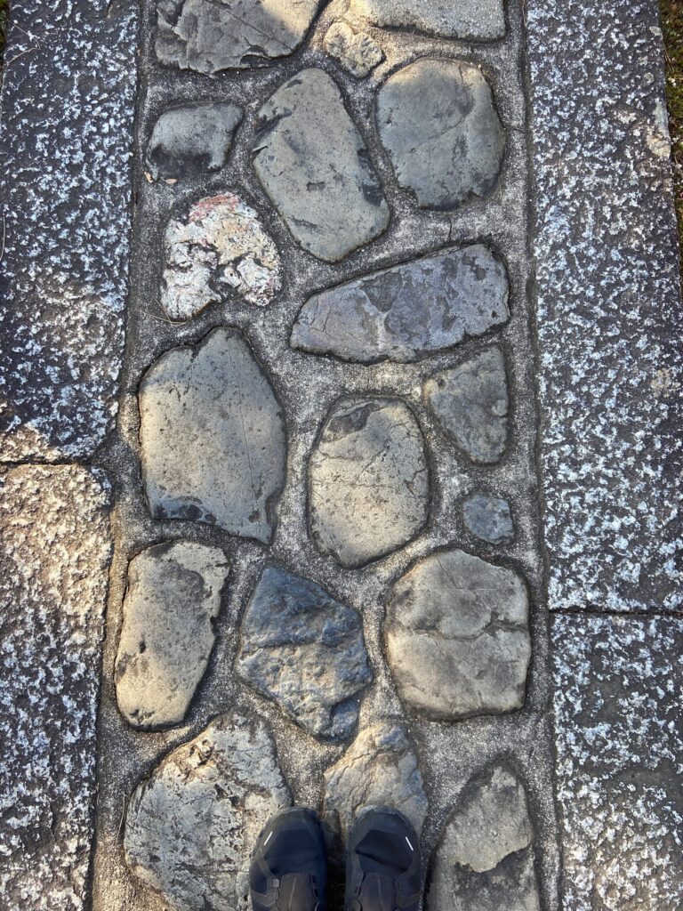 大徳寺の南門へ続く石畳のまっすぐな参道と松並木