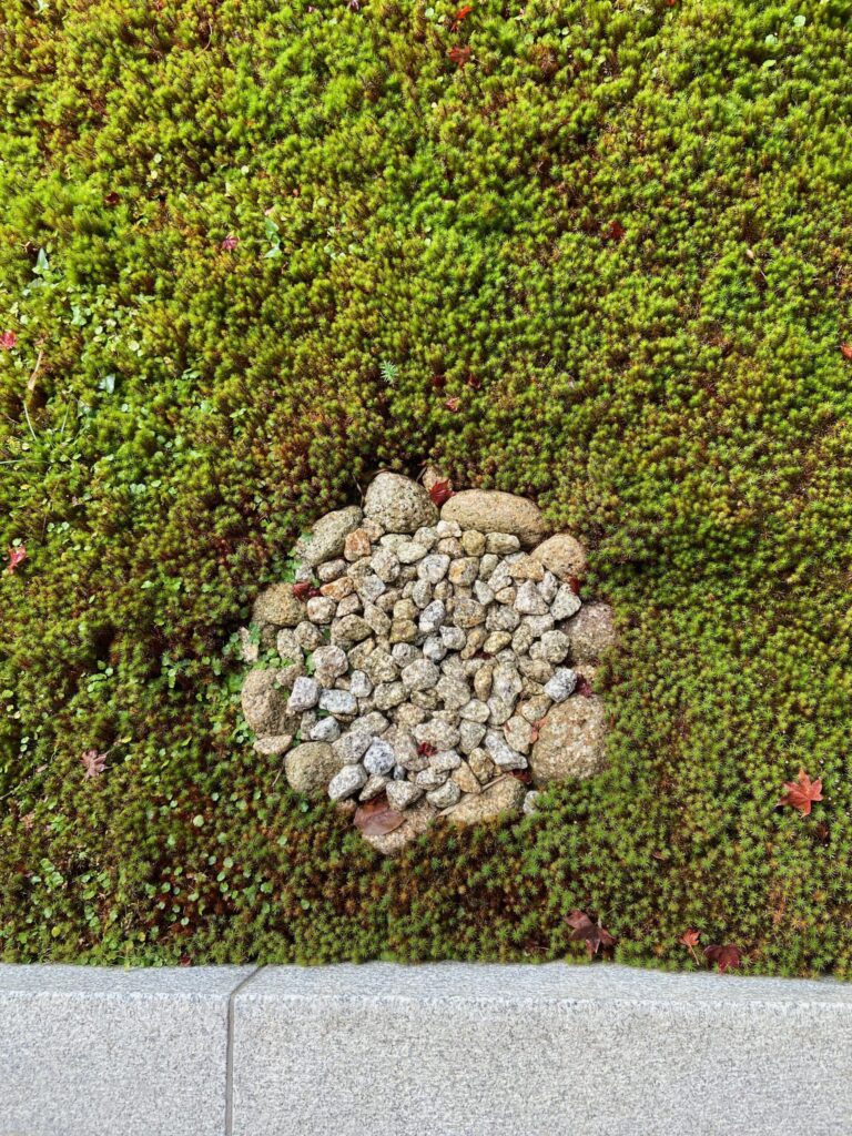 青々とした苔の上に円形に集められた小石、京都の寺の庭の一角