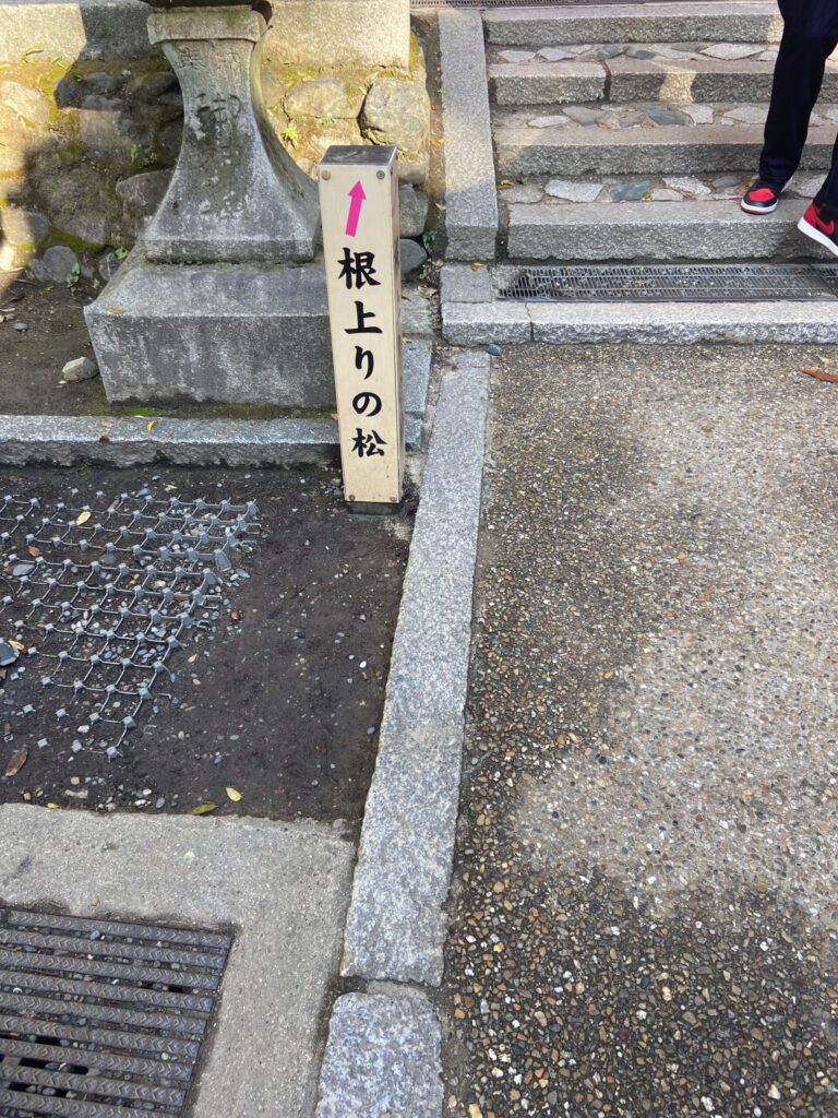 伏見稲荷神社 根上りの松