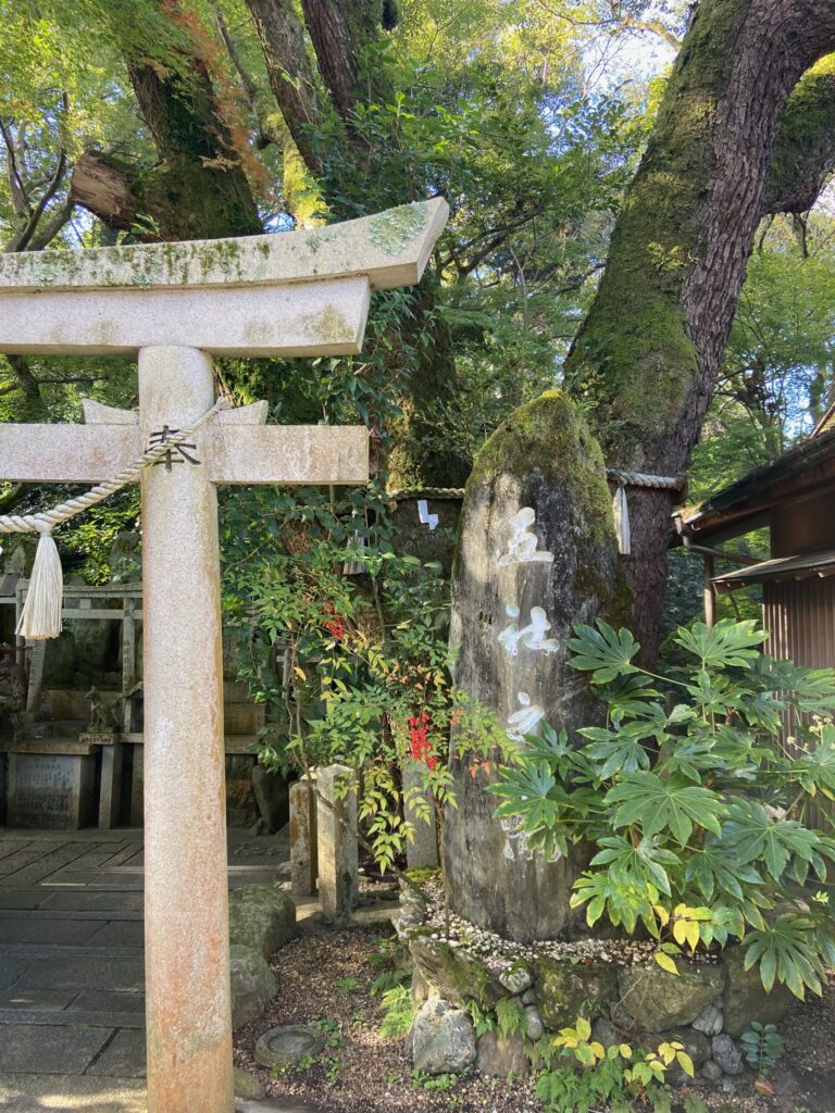 京都・東山 白瀧社 鳥居
