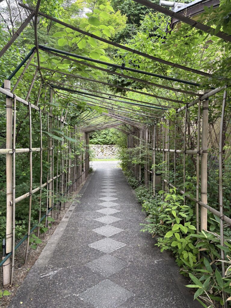 梨木神社の萩のトンネルと市松模様の石畳