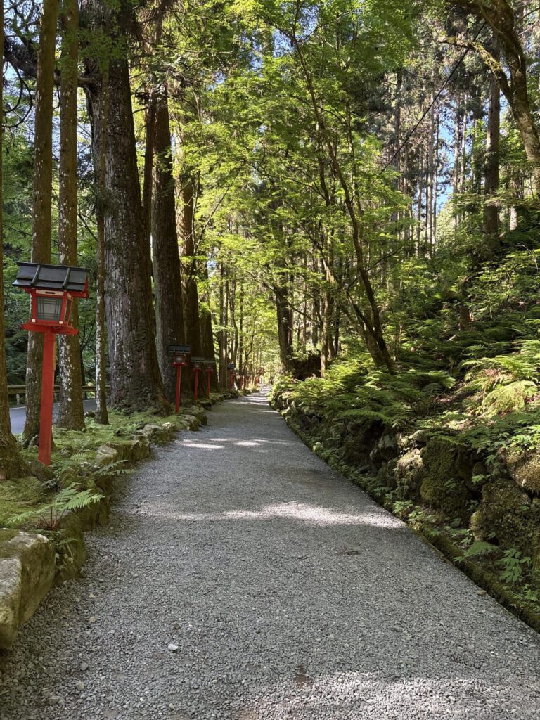 奥宮ねの、新緑につつまれた石畳の参道