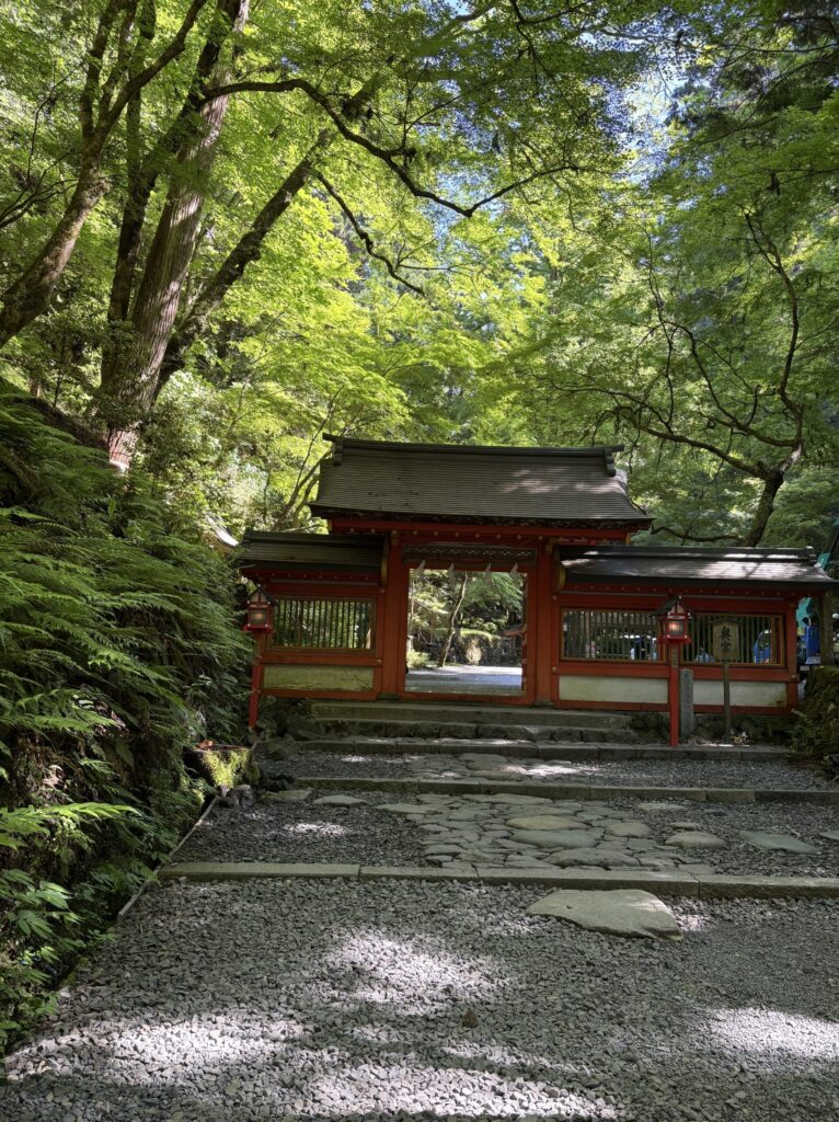 貴船神社 奥宮の朱塗りの神門と、新緑につつまれた石畳の参道