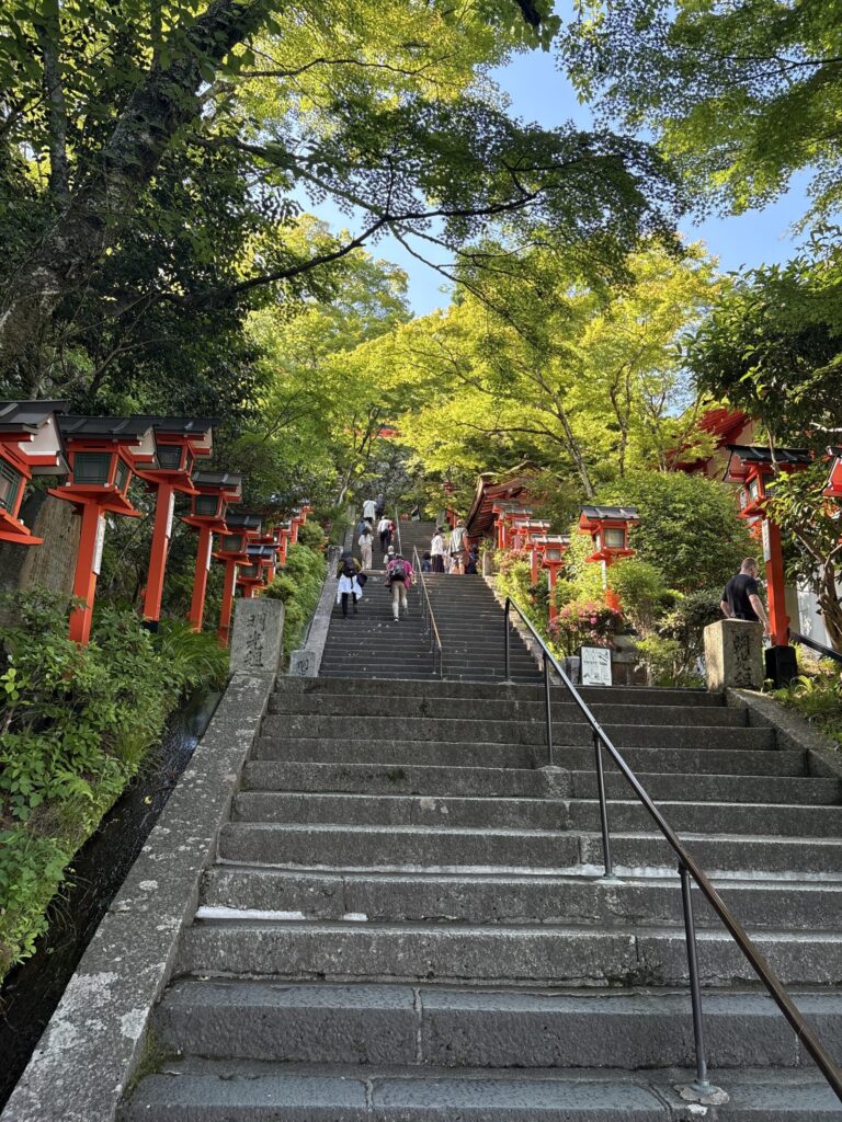 朱の灯籠が立つ鞍馬寺の参道の石段。新緑のなか、本殿へとつづら折りに登っていく