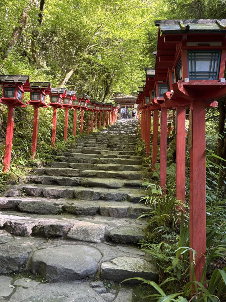貴船神社の参道。朱塗りの灯籠がずらりと並ぶ石段と、青もみじの木漏れ日