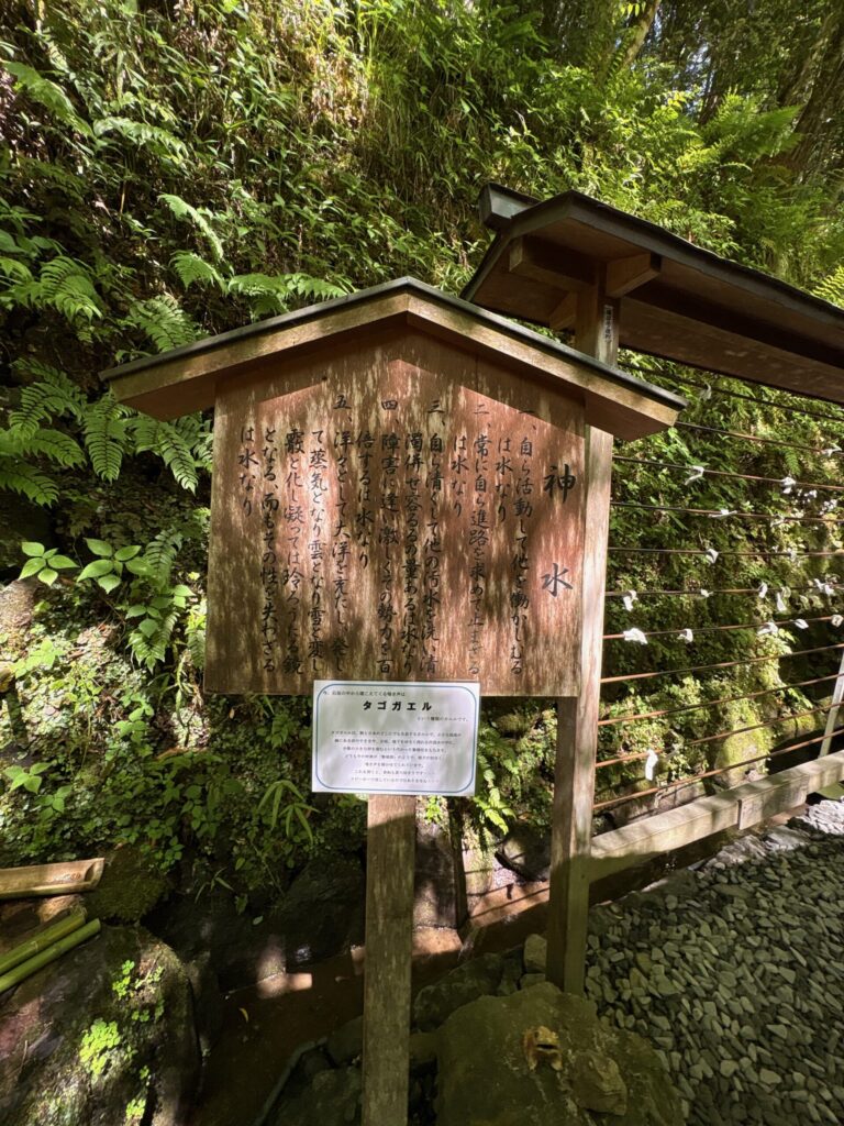 貴船神社のご神水を竹の樋からボトルに汲むところ。紙垂と苔