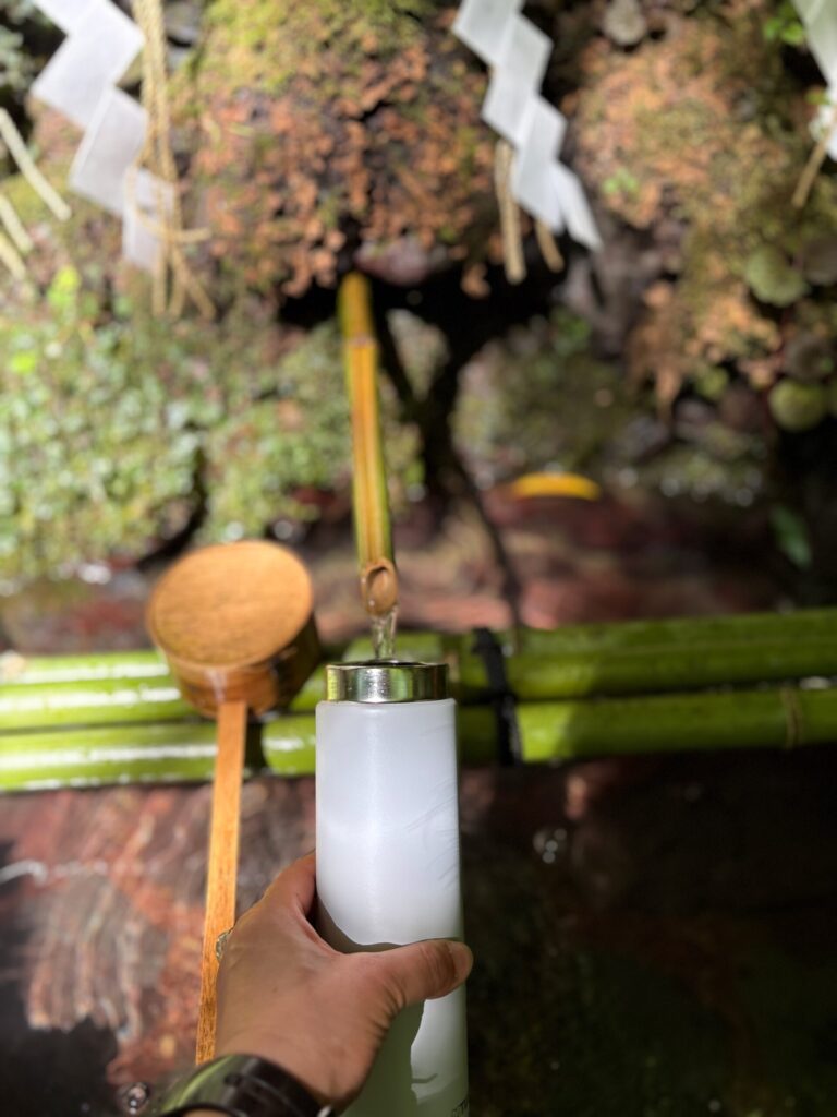 貴船神社のご神水を竹の樋からボトルに汲むところ。紙垂と苔