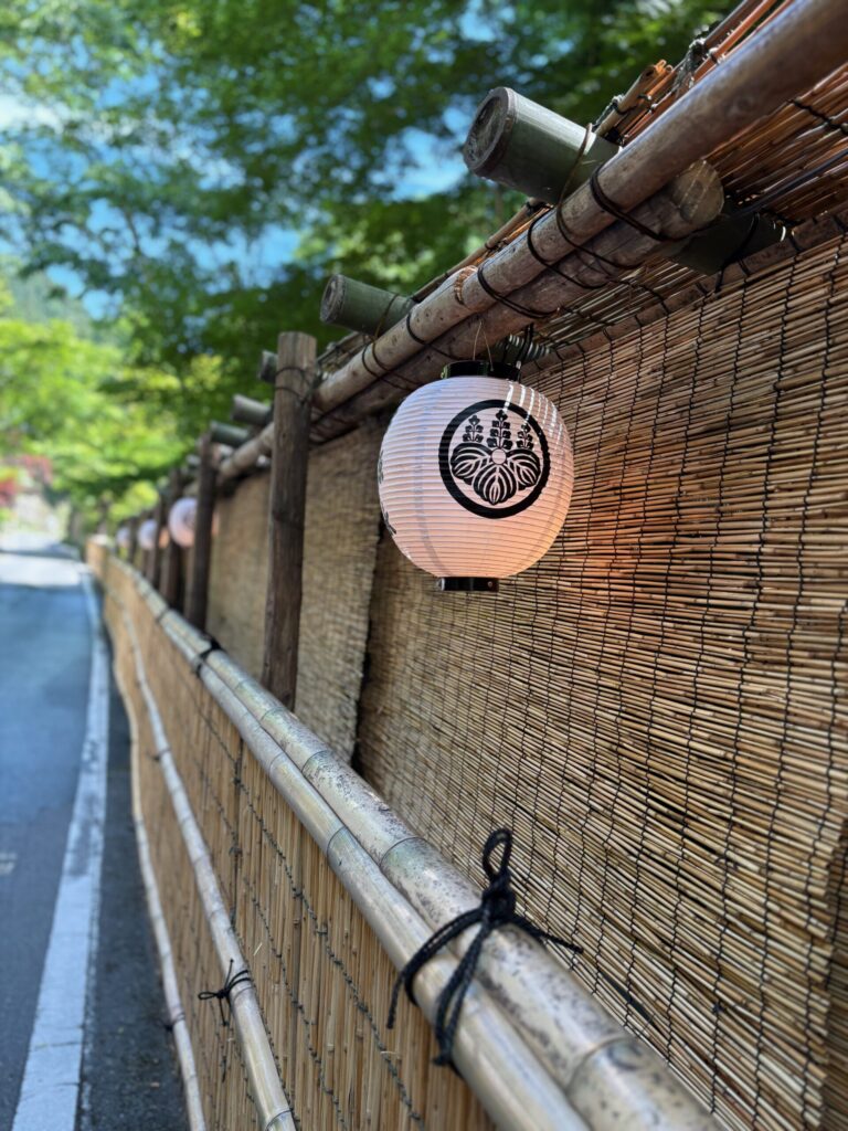 貴船川沿いの簾塀の道に並ぶ左源太の提灯と青もみじ