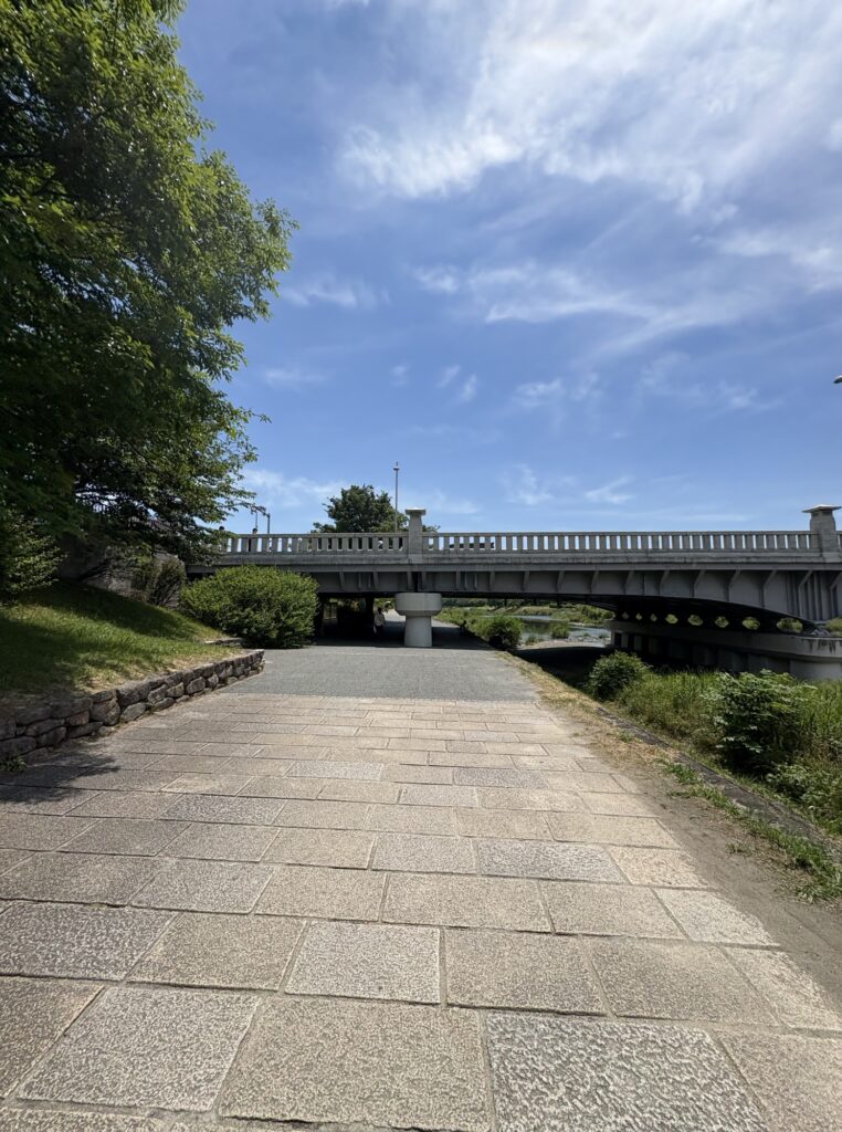 鴨川沿いの道から賀茂大橋へ。『京都人の密かな愉しみRouge継承』のロケ地