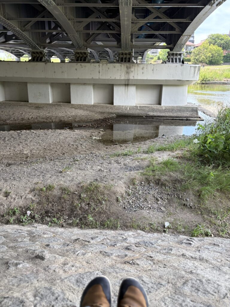 賀茂大橋の下に座って鮭おにぎり。サルトルと同じ景色を眺める