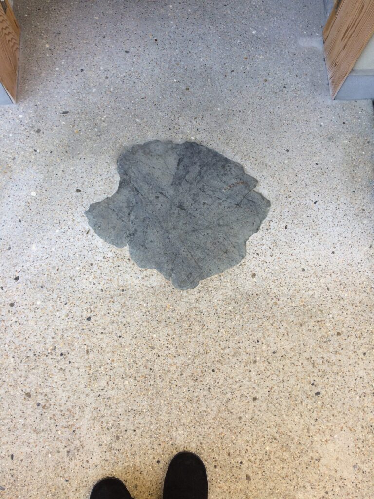 店の入口の床に埋め込まれた、大きな自然石の敷石