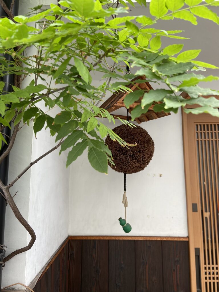 京都の町家の軒先。青葉の向こうに吊り飾りと格子戸