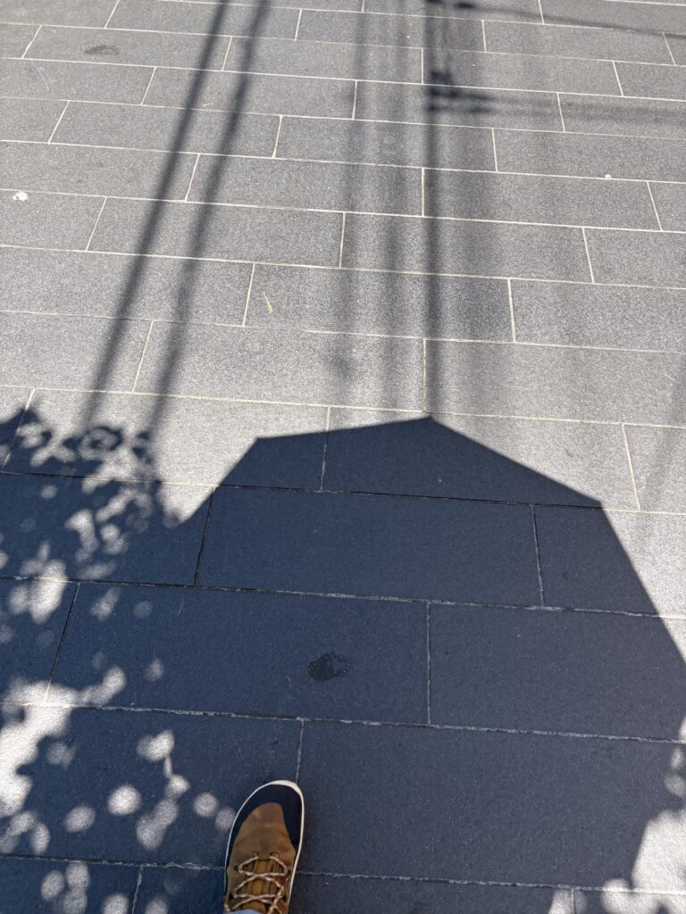 京都の5月末・夏日の日傘