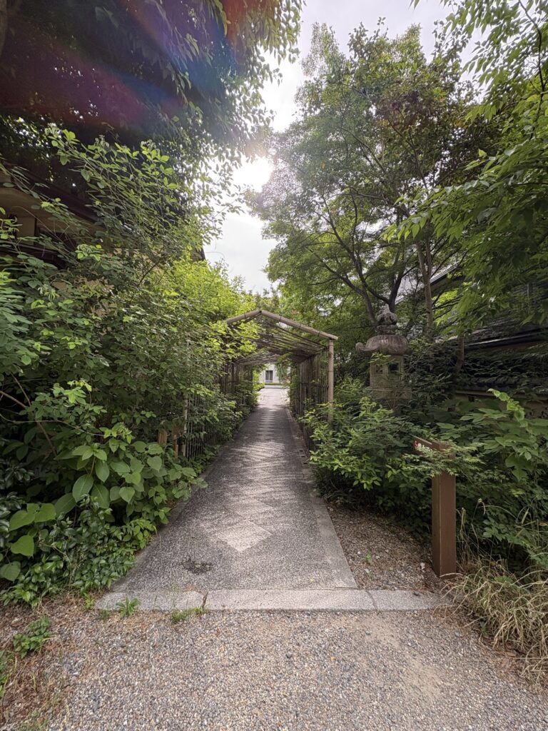 梨木神社の参道。萩の若い緑につつまれた石灯籠