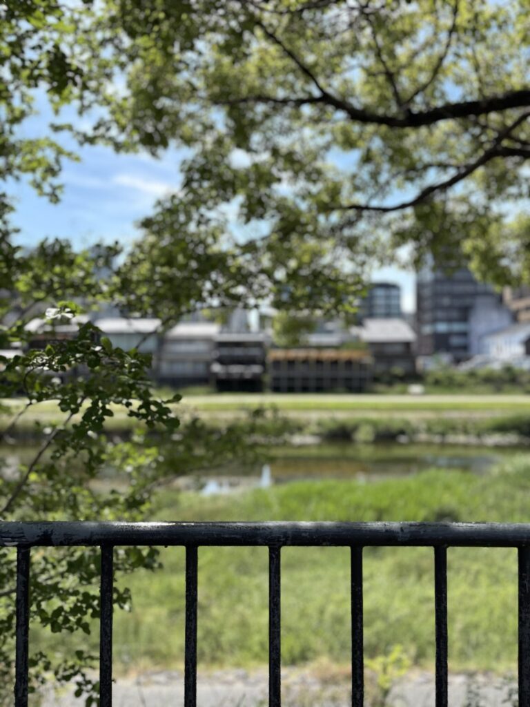 柵越しに川と土手の草。草の面がよく見える