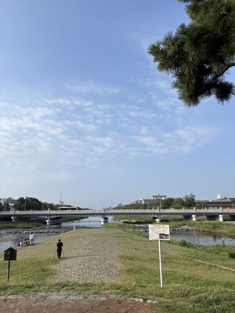 鴨川デルタ：鴨川デルタ。芝生と石畳の三角地帯の奥に賀茂大橋、朝の空にうろこ雲