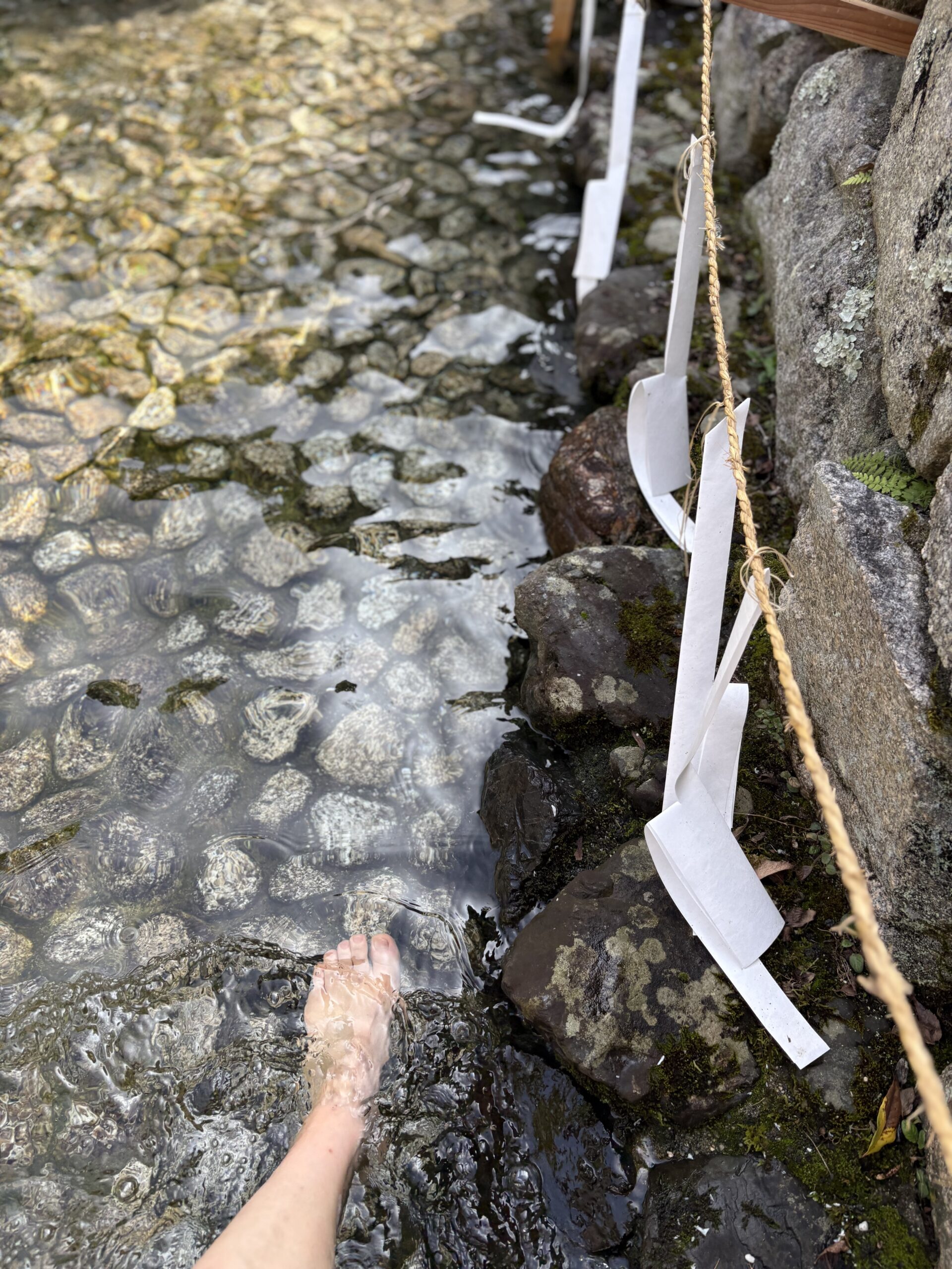 御手洗池に足を浸す。澄んだ水の底に玉石が見え、注連縄の紙垂が下がる