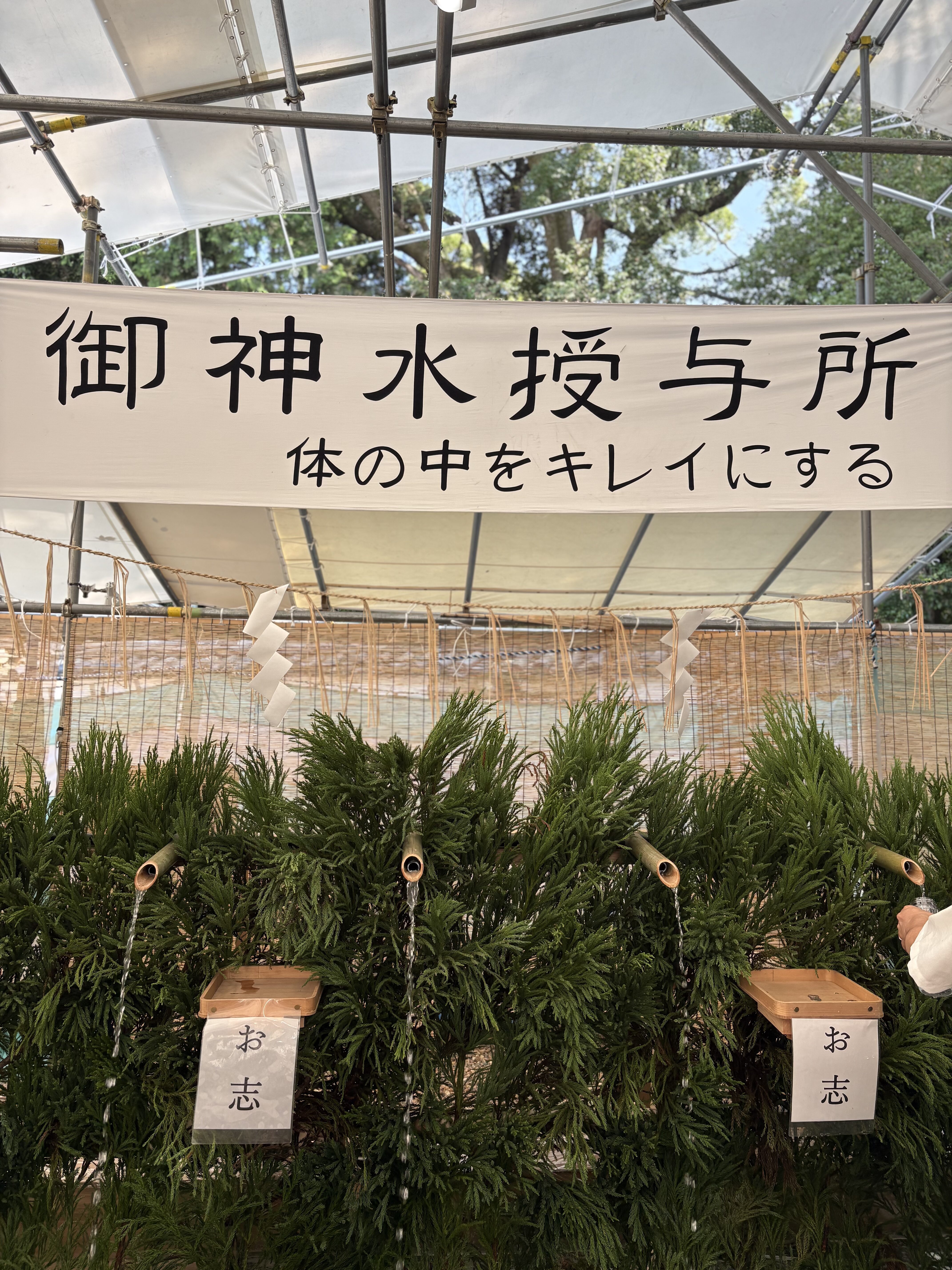 御神水授与所：御神水授与所。「体の中をキレイにする」の横断幕の下、杉の葉のあいだから竹の樋が伸びて水が流れる