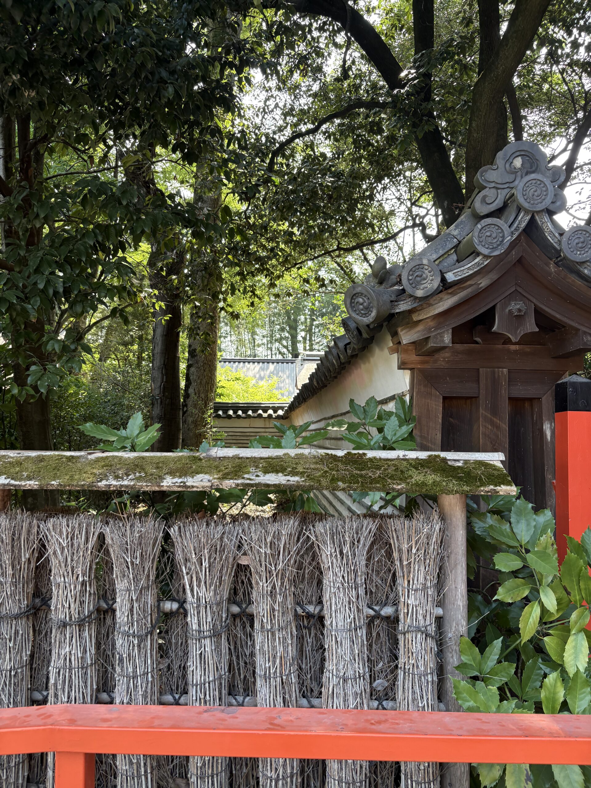 下鴨神社の境内。朱の玉垣と竹を束ねた垣根、奥に社殿の屋根