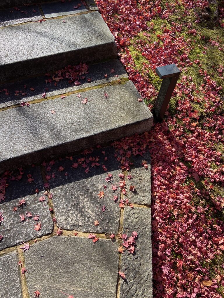 石段と、散り敷いた赤い落ち葉