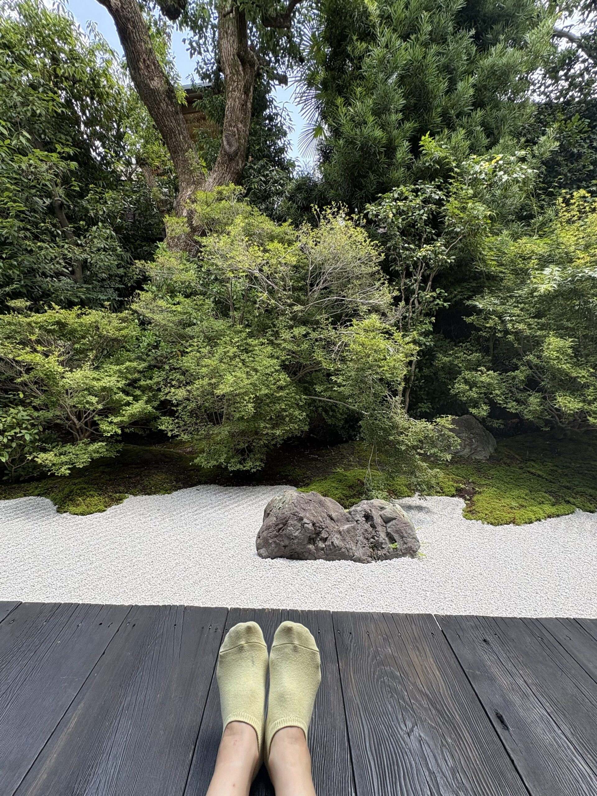 京都ひとり旅の休息。西来院の縁側に足を投げ出して眺める枯山水