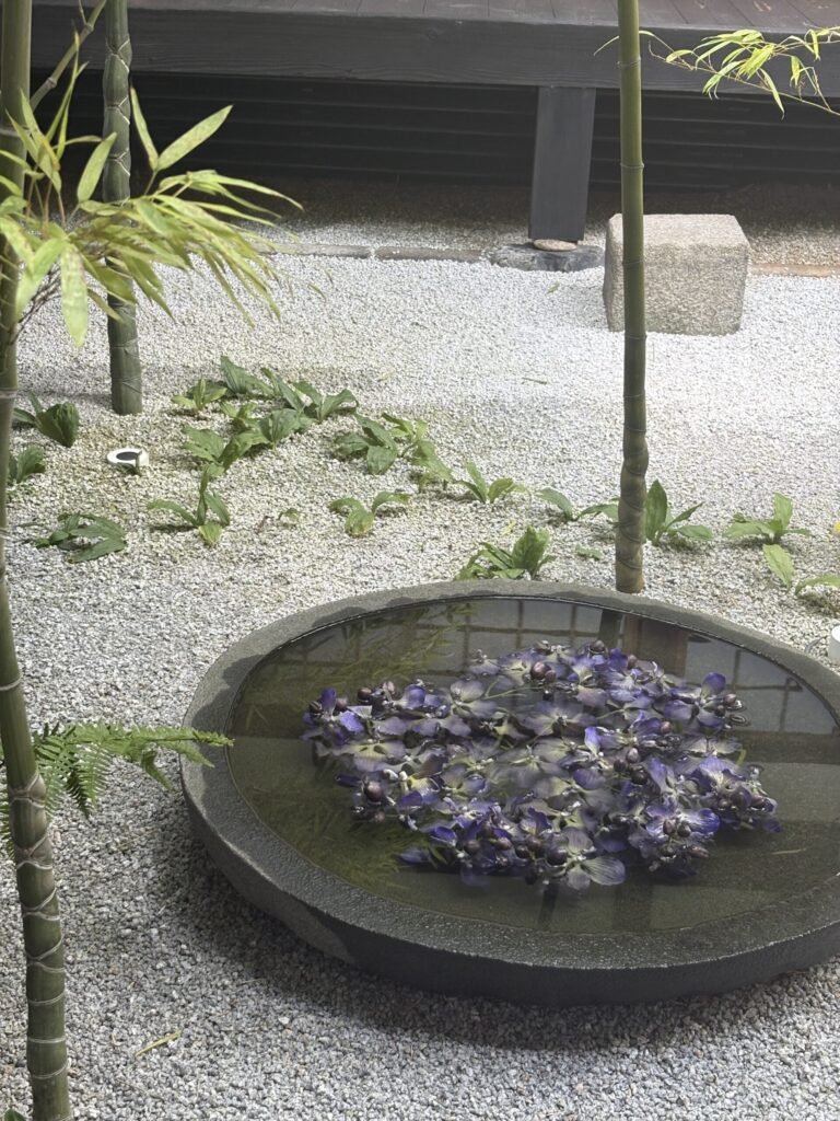 西来院の中庭の水鉢。紫の花が浮かべられている