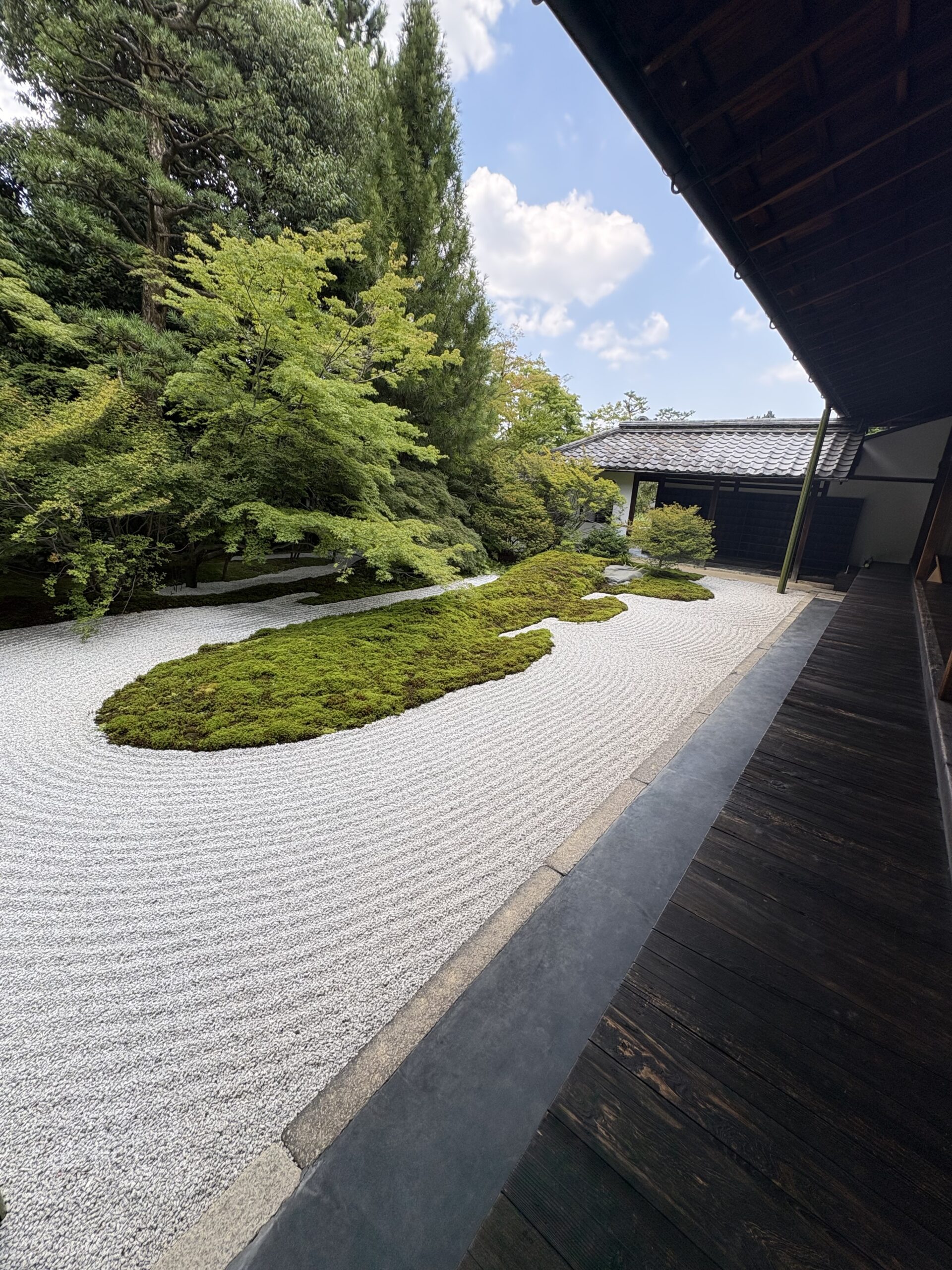 京都ひとり旅で訪ねた西来院の枯山水庭園。苔の島が浮かぶ白砂と、夏の空