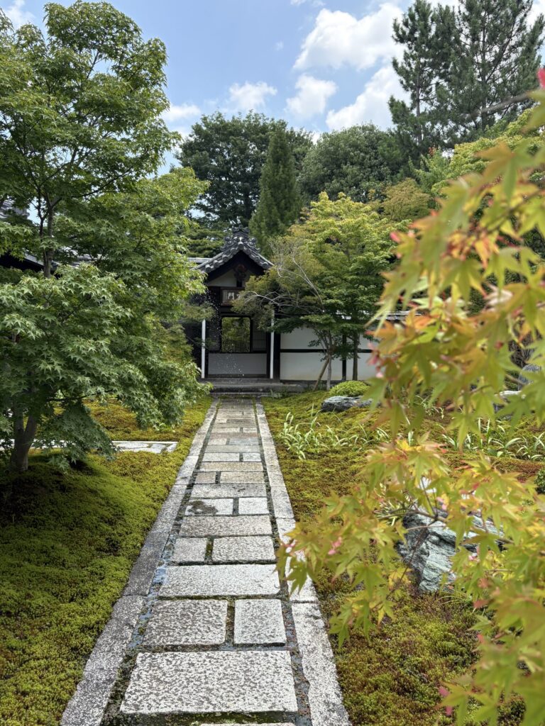 苔と飛石の庭の先に立つ白壁の門。手前の楓が色づきはじめている