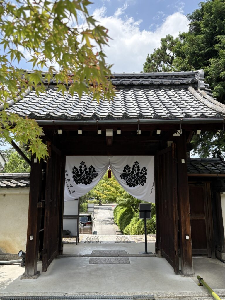 青もみじ越しに見る西来院の門。京都ひとり旅で訪ねた建仁寺の塔頭